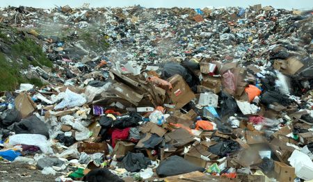 Waste Audits: The First Step to Better Waste Management